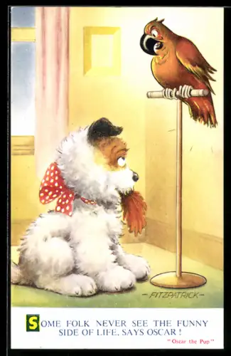 Künstler-AK sign. Fitzpatrick: Niedlicher Hund mit Federn im Maul ist mit einem wütenden Papagei konfrontiert