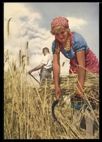AK Reklame für Indanthrenfarbige Stoffe, Bei der Heuernte