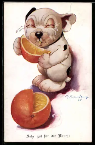 AK Ein Bonzo-Hundebaby beisst in eine Orange, ist zwar sauer, aber gut für den Bauch