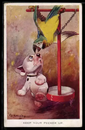 Künstler-AK George Ernest Studdy: Bonzo wird von Papageien angegriffen, Keep your pecker up