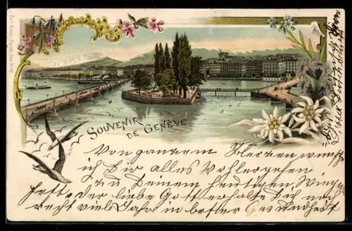 Lithographie Geneve, Totalansicht