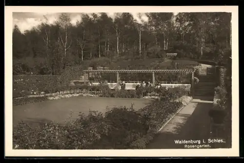 AK Waldenburg, Blick in den Rosengarten