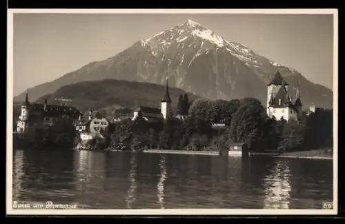 AK Spiez, Teilansicht mit Niesen