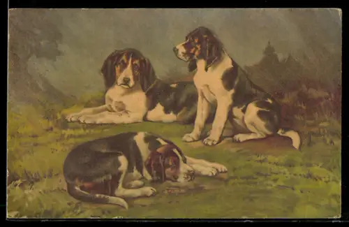 AK Drei süsse Hunde warten auf ihr Herrchen