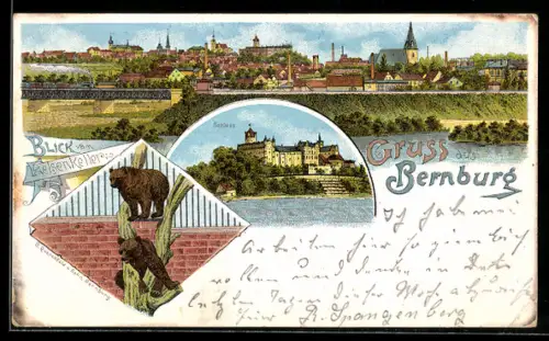 Lithographie Bernburg, Blick vom Felsenkeller und Schloss, Zwei Braunbären auf einem Baum