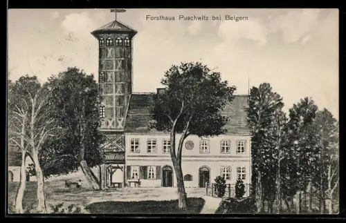 AK Belgern, Forsthaus Paschwitz