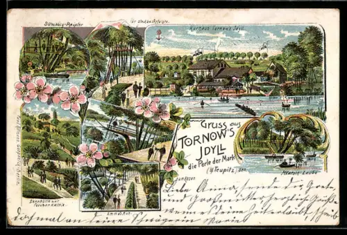 Lithographie Tornow /Teupitz, Kurhaus Tornows Idyll, mit Sennhütte, Klatsch-Laube, Baumhaus