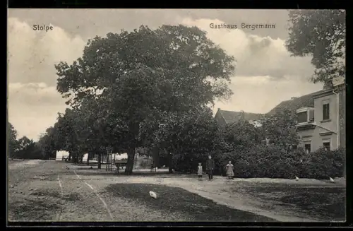 AK Stolpe, Gasthaus Bergemann mit Strasse u. Bäumen