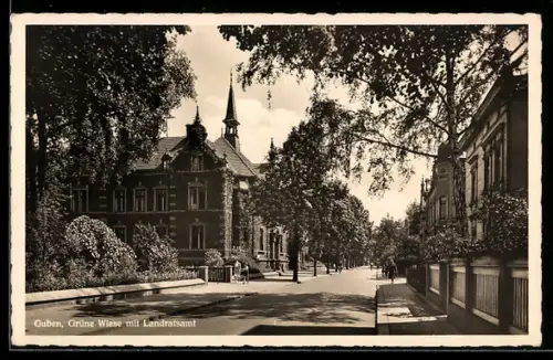 AK Guben, Grüne Wiese mit Landratsamt, Strassenpartie