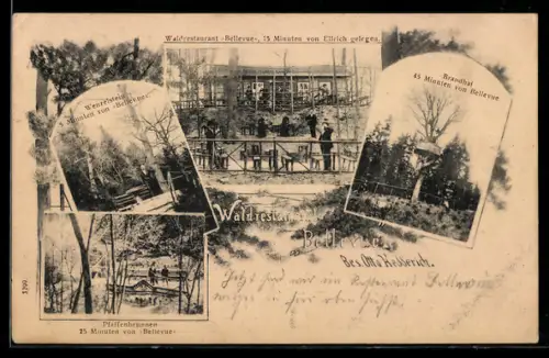 AK Ellrich, Waldrestaurant Bellevue, Brandhai, Pfaffenbrunnen