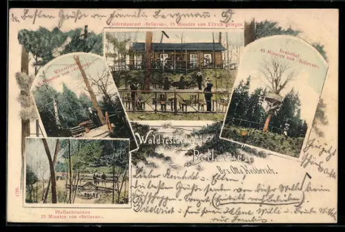 AK Ellrich, Waldrestaurant Bellevue, Brandhai, Pfaffenbrunnen