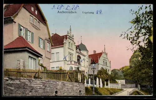 AK Aschersleben, Strasse Vogelsang mit Wohnhäusern