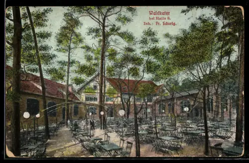 AK Halle /Saale, Gasthof Waldcater, Inh. Fr. Schurig, Aussenbereich für Gäste