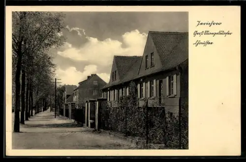 AK Jerichow, Partie in der Gross-Mangelsdorfer Chaussee mit Wohnhäusern