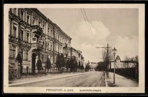 AK Frankfurt a. Oder, Partie in der Strasse Buschmühlenweg mit Wohngebäuden
