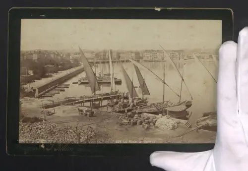 Fotografie J. Julien, Genève, Ansicht Genf, Hafenpartie mit Segelbooten, Grossformat 17 x 26cm