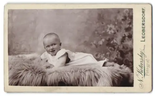 Fotografie Nikolaus Kotarsky, Leobersdorf, Südbahnhof Nr. 243, Albert Holter als Kleinkind auf Fellunterlage