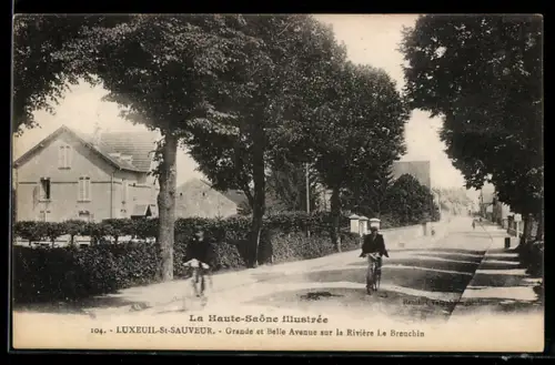 AK Luxeuil-St-Sauveur /Haute-Saône, Grande et Belle avenue sur la Rivière Le Breuchin