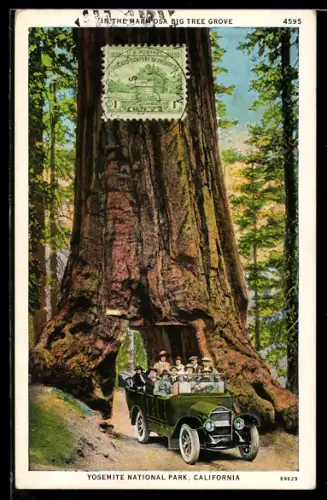 AK Yosemite National Park, CA, In the Mariposa Big Tree Grove, Auto fährt durch einen Baum