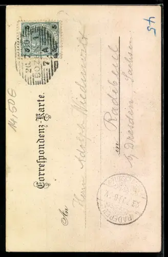 Lithographie Bozen, Runkelstein und Schloss Ried