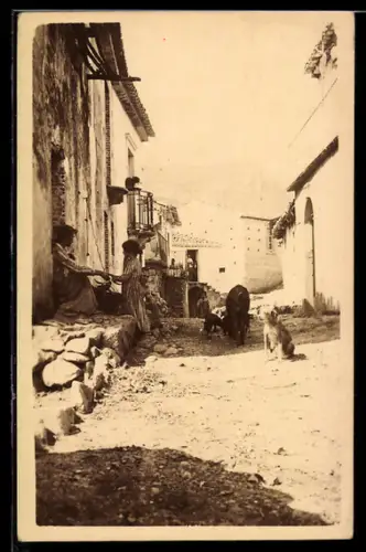 Foto-AK Taormina, Einwohner mit Hund und Ziegen vor ihrem Haus