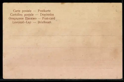 AK Rheinfelden, Ortsansicht mit Brücke