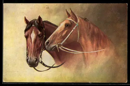 AK Gesichter von Pferden