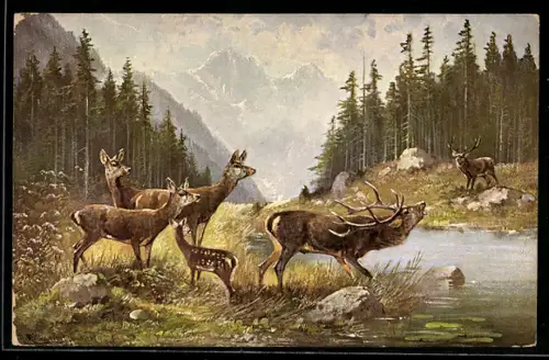 Künstler-AK M.Müller jun.: Hirsch verteidigt sein Revier