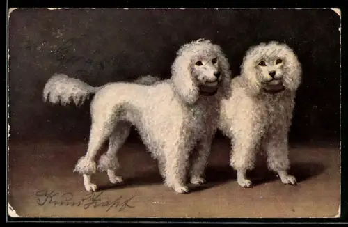 AK Weisses Pudelpaar