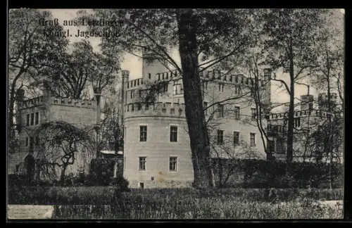 AK Letzlingen, Königl. Jagdschloss mit Park und Bäumen