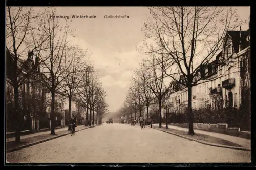AK Hamburg-Winterhude, Häuservillen in der Gellertstrasse