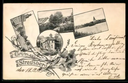 AK Strausberg, Seebad, Aussichtsturm und Marktplatz