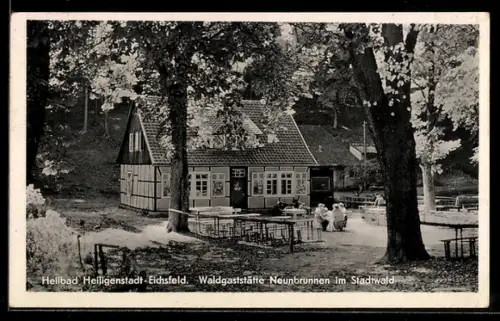 AK Heiligenstadt-Eichsfeld, Wandgaststätte Neunbrunnen im Stadtwald