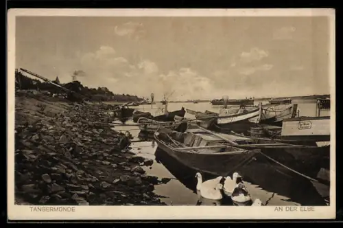 AK Tangermünde, Boote an der Elbe