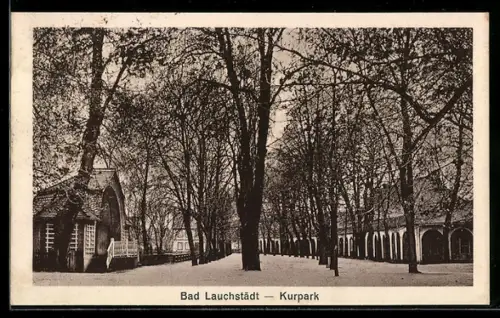 AK Bad Lauchstädt, Kurpark mit Allee u. Gebäuden