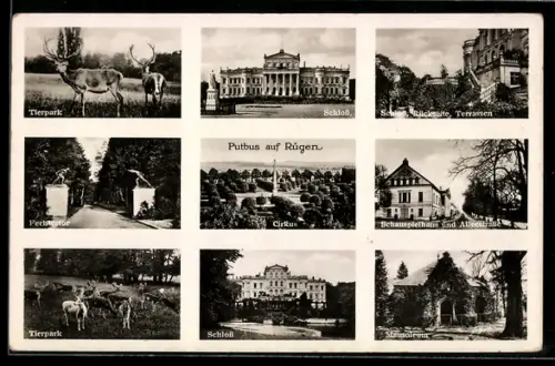 AK Putbus auf Rügen, Schloss, Tierpark, Cirkus, Mausoleum
