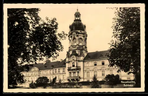AK Neustrelitz, Das Schloss