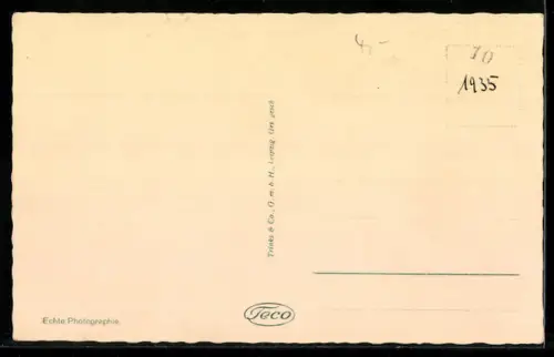 AK Neustrelitz, Das Schloss