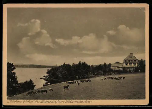 AK Diensdorf /Scharmützelsee, Kurhaus Seehof mit See u. Kuhweide
