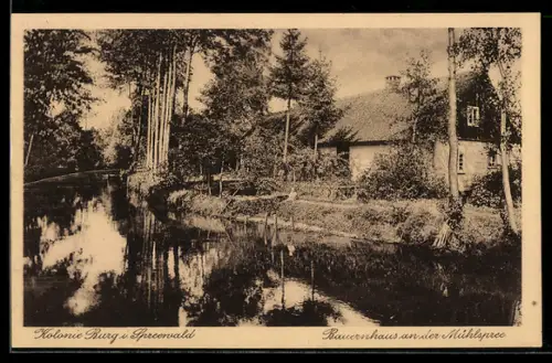 AK Burg /Spreewald, Kolonie, Bauernhaus an der Mühlspree