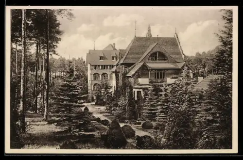 AK Hohenlychen /Uckermark, Kaiserin Auguste Viktoria-Sanatorium, Parkseite