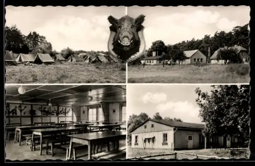 AK Ibenhorst /Darss, DJH-Zeltlager, Speisesaal, Unterkunftsgebäude, Wildschweinkopf