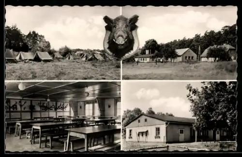 AK Ibenhorst /Darss, DJH Zeltlager, Speisesaal, Gebäude, Wildschweintrophäe
