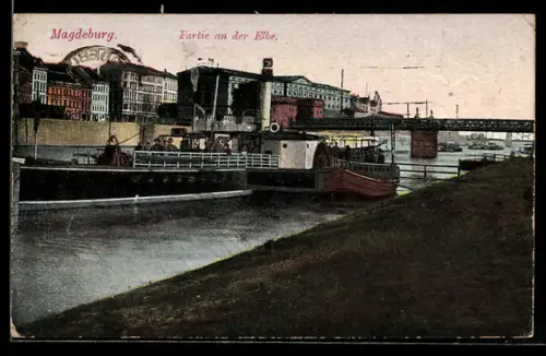 AK Magdeburg, Fähre an der Elbe, Brücke, Panorama