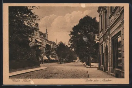 AK Werder /Havel, Hotel und Restaurant Bismarckhöhe, Unter den Linden