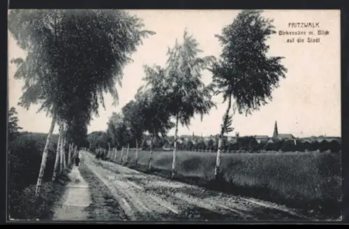 AK Pritzwalk, Birkenallee mit Blick auf die Stadt