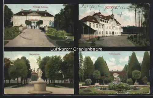 AK Oranienbaum, Schloss, Kinderheilstätte, Marktplatz, Schlosspark