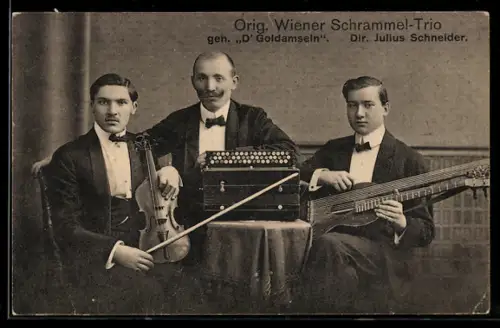 AK Original Wiener Schrammel-Trio, Musiker
