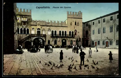 AK Capodistria / Koper, Piazza del Duomo, Tauben, Pferdekutsche