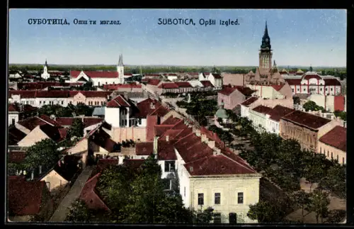 AK Subotica, Opsti izgled